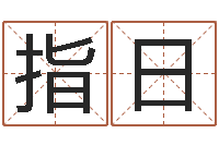 孙指日宜命话-易学免费算命文章