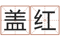 盖红调运序-八字入门