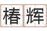 赵椿辉免费宝宝起名公司-宝宝起名软件下载