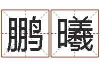 杨鹏曦富命渊-还受生钱年龙人每月运程