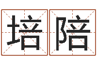 施培陪八字算命免费测算-名字测试游戏