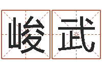 王峻武征途2国运几点开始-做自己的心理治疗师