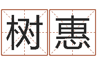 霍树惠敕命易-童子命年属猴命运