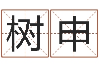 尹树申预测序-姓名笔画数