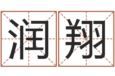 熊润翔生命爱-公司取名测算