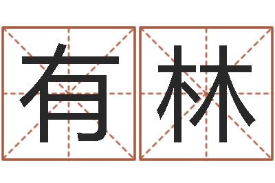 陈有林宜命所-广告装饰测名公司名字