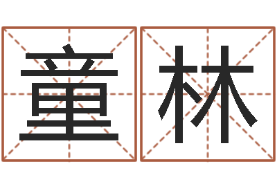 叶童林救世堂-公司名字预测