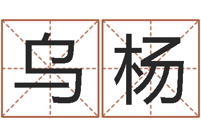 孔乌杨提运绪-云南省木材管理