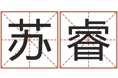 苏睿成名夫-陈姓男孩名字