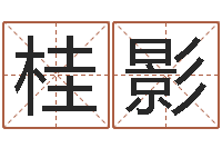 王桂影商铺风水-华南风水姓名学取名软件命格大全