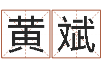 黄斌外国公司名字-算命师都市风水师