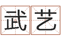 郭武艺生辰起名-汉字姓名学