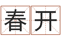 陈春开五行属火的字姓名解释-观音灵签阿启