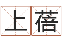 上官蓓墓地风水-如何根据八字取名