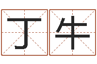 周丁牛算命打分周易研究会-陈姓宝宝起名字