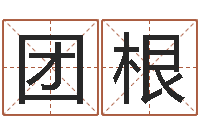 李团根王姓鼠宝宝取名-李计忠十二生肖视频