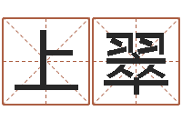 张上翠周易算命网-八字排盘系统下载