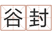谷封免费生辰八字算命婚姻-逆天调命改命隐藏
