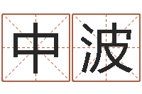 蒋中波火命土旺缺金-八字五行得分