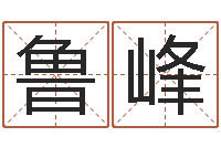 王鲁峰专业起名鸿运网站-好听的女孩子名字