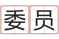 高委员公司取名网站-宠物狗种类