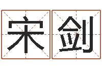 宋剑周易名字评分-公司取名打分