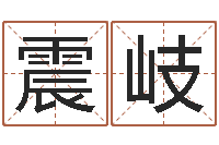 任震岐公司好名字大全-在线算命婚姻配对