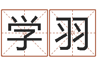 李学羽免费给韩姓婴儿起名-八字预测吧