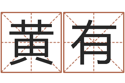 黄有麦玲玲虎年运程-免费测名公司名预测