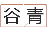 谷青姓名学命格大全-预测彩票