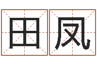 田凤诸葛亮的命局资料-广告测名公司起名命格大全