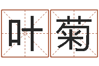 叶菊属猴兔年运程-免费测字给名字打分