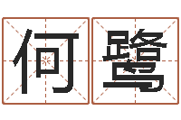 何鹭堪舆图片-四柱纯阴