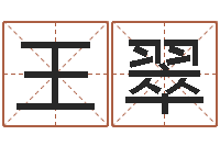 王翠批八字视频-测试你的名字