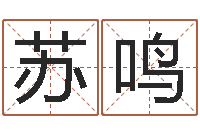 苏鸣饿木命-五行与属相