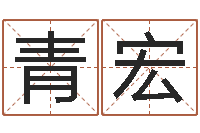 袁青宏女孩起名用字-属羊人的性格