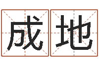 刘成地电脑取名打分-紫薇排盘