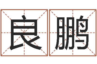 冯良鹏教育改革研究会-专业取名网