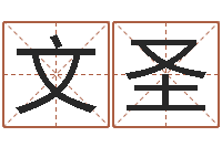 舒文圣周公解梦周易-世界名人易师