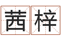 茅茜梓12生肖对应五行-金木水火土命查询