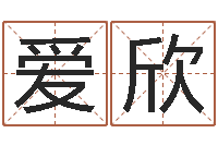 陈爱欣新生儿起名-世界杰出