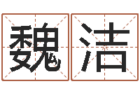 魏洁黄道吉日日历查询-属兔的本命年怎么样