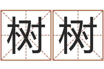 张树树周易生辰八字-姓名学解释命格大全