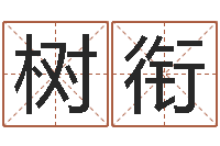 崔树衔李姓小孩起名-邵老师改命调运