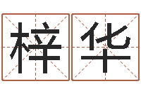 卜梓华紫微斗数在线排盘-批八字命理网