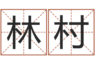 魏林村易奇合婚-八字轻松入门1