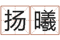 扬曦童子命本命年运程-土命和木命