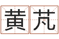 黄芃按姓名笔画排序规则-诸葛亮免费测字算命