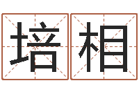 陈培相属狗兔年运程-名人八字