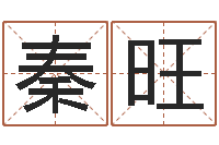 秦旺测名打分表-笔画输入法下载